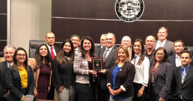 Summary of November Council Meeting. Summary of November Council Meeting.