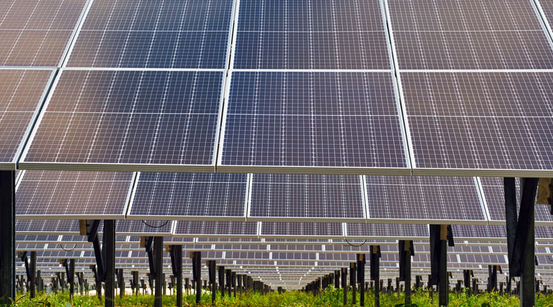 Florida presenta proyecto mayor planta solar del mundo