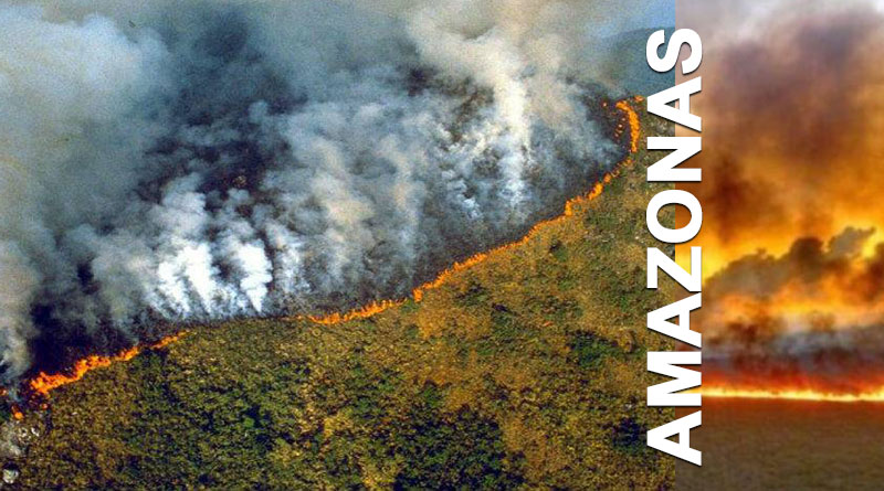 Crece preocupación mundial por incendios en el Amazonas