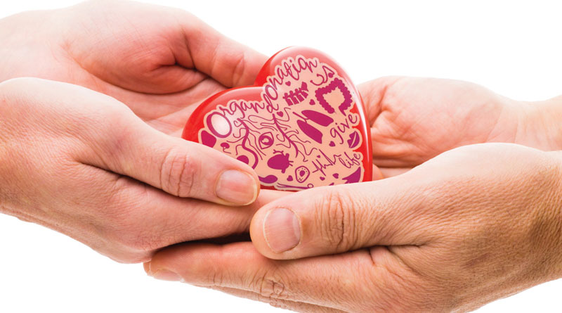 Organ Donation: An Act of Generosity That Transforms lives