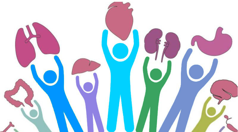 Donar órganos: Un acto de generosidad que transforma vidas - Doral Family Journal