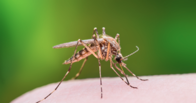 This is the way you can avoid getting infected with the West Nile Virus