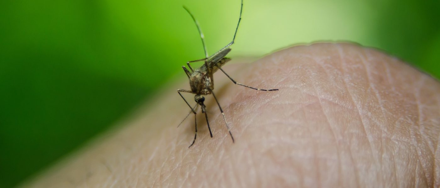 Concerns increase over West Nile Virus cases in Miami-Dade