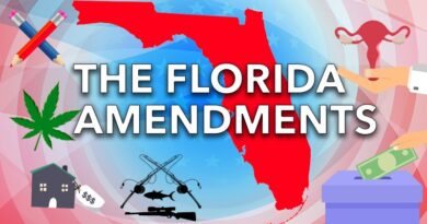 Florida Amendments’ Results 2024: No to marihuana and abortion, Yes to fishing