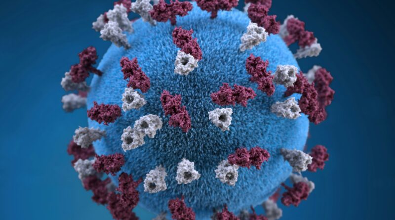 U.S. government reported measles outbreaks across 20 states